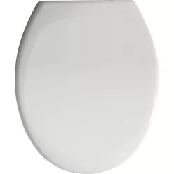   WC tető, AQUALINE SOFIA WC-ülőke polypropylén, Soft Close, fehér: BS122 x