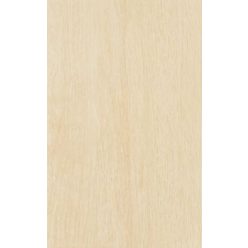 Csempe, Zalakerámia LEGNO BEIGE 25X40 ZAL-ZBD 42035