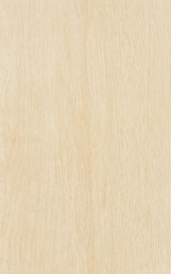 Csempe, Zalakerámia LEGNO BEIGE 25X40 ZAL-ZBD 42035
