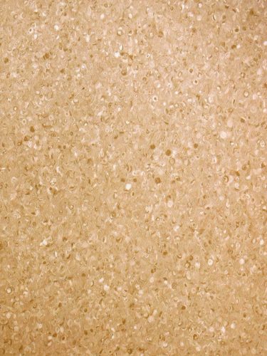 PVC padló, Grabo Fortis Sand