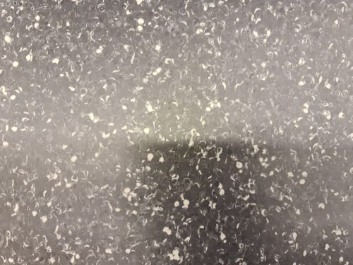 PVC padló, Grabo Fortis Onyx