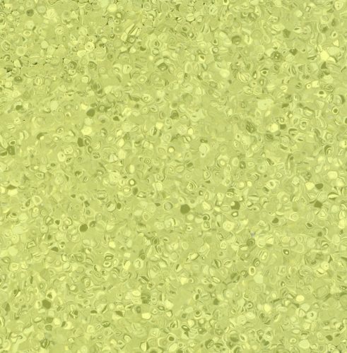 PVC padló, Grabo Fortis Kiwi