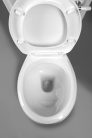 Wc, Aqualine Antik monoblokkos hátsó kifolyású AK107-01