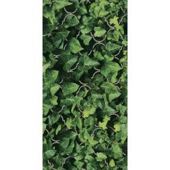   Dekorlap, Paradyz Classica Uniwersalne Inserto Szklane Dream 30x60cm