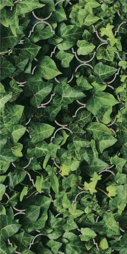 Dekorlap, Paradyz Classica Uniwersalne Inserto Szklane Dream 30x60cm