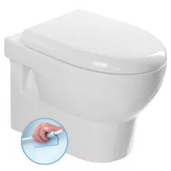   WC, Sapho AQUALINE ABSOLUT RIMLESS fali WC, 35x50cm 10AB02002