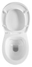 WC, Sapho AQUALINE ABSOLUT RIMLESS fali WC, 35x50cm 10AB02002
