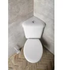 WC, Sapho AQUALINE CLIFTON sarok kombi WC alsó/hátsó kifolyású, tartállyal, ülőke nélkül FS1PK