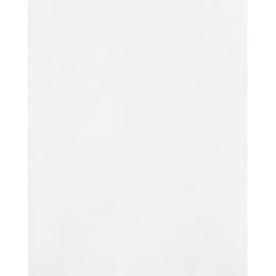   Csempe, Zalakerámia CARNEVAL Fényes Fehér 20x25 ZAL-ZBK 701