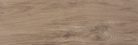 Csempe, Zalakerámia AMAZONAS Világos BARNA 20X60 ZAL-ZBD62005