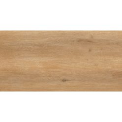   Járólap, Zalakerámia Viking Barna 30X60 matt ZPI-ZGD 60085