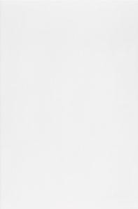 Csempe, Zalakerámia CARNEVAL MATT FEHÉR 20X30 ZFE-ZBR 302