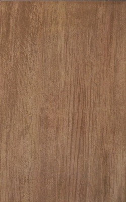 Csempe, Zalakerámia WOODSHINE ORO 25X40 ZAL-WOODSH OR