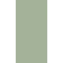 Csempe, Paradyz Feelings Green MAT 29,8x59,8