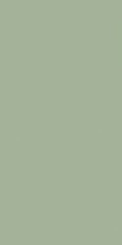 Csempe, Paradyz Feelings Green MAT 29,8x59,8