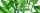 Dekorlap,  Valore GARDEN TROPIC DEKOR C RET 25x75