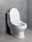 WC tető, Aqualine PETIT WC-ülőke, Easy Take PT005
