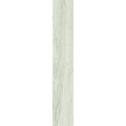 Járólap, Ascot Ceramiche NATURAL BETULLA 20X120