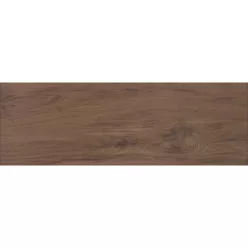   Járólap, Zalakerámia ZGD 62107 AMAZONAS matt padlóburkoló  20x60