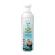 Medence kiegészítő, Wellis WM00448 Spa aroma – eucalyptus 250 ml