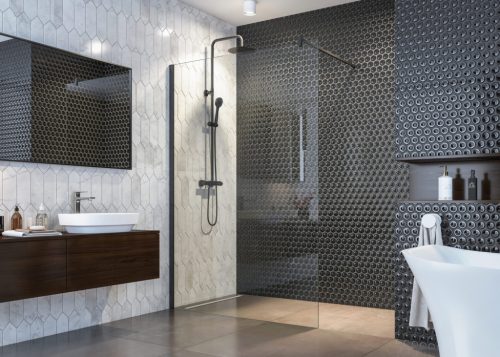 Walk-in, Aquatek OASIS BLACK F1 100x200