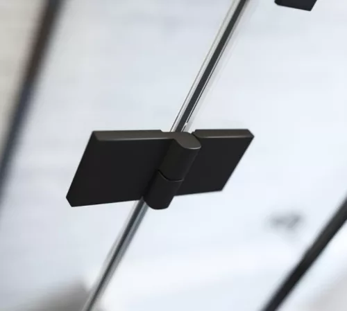 Zuhanyajtó, Radaway Essenza Black DWJS fekete zuhanyajtó 120 átlátszó balos