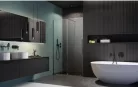 Zuhanyajtó, Radaway Furo Brushed GunMetal DWJ zuhanyajtó 120 átlátszó balos
