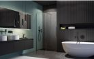 Zuhanyajtó, Radaway Furo Brushed GunMetal DWJ zuhanyajtó 130 átlátszó jobbos