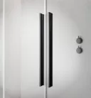 Zuhanyajtó, Radaway Furo Brushed GunMetal DWJ zuhanyajtó 140 átlátszó balos