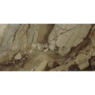 Járólap, Ape Ceramica Rex Brown Polished Rect 60X120 A035909
