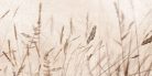 Dekorcsempe, Oliver Design Decor Icon Beige A 25x50
