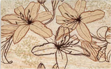 Dekorlap, Valore Travertino Flowers Inserto 25x40cm