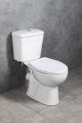WC, Aqualine Jose monoblokkos WC PS8812