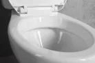 WC, Aqualine Manuel monoblokkos WC PS8814