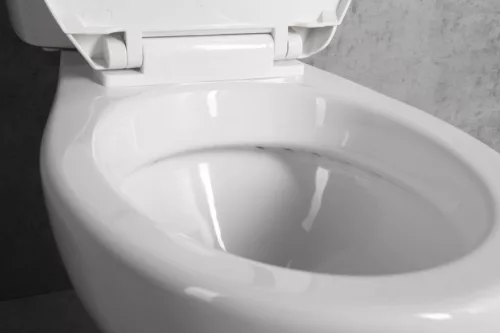 WC, Aqualine Manuel monoblokkos WC PS8814