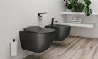WC tető, Deante Peonia wc tető, slim, soft close, antracit/titanium CDE_DSOZ