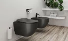 WC tető, Deante Peonia wc tető, slim, soft close, antracit/titanium CDE_DSOZ