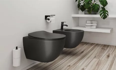 WC tető, Deante Peonia wc tető, slim, soft close, antracit/titanium CDE_DSOZ