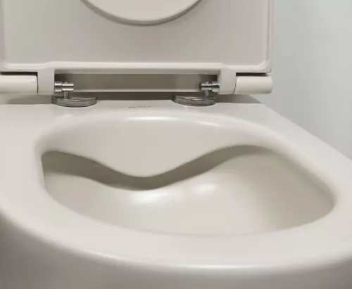 WC, Sapho Isvea Infinity Rimless fali wc 36,5x53 cm, elefántcsont 10NF02004-2K