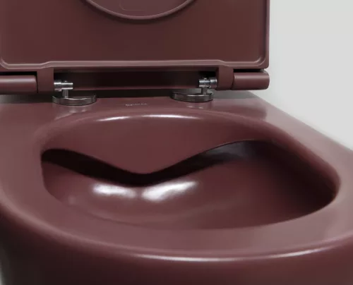 WC, Sapho Isvea Infinity Rimless fali wc 36,5x53 cm, gesztenyevörös 10NF02004-2R