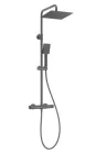 Zuhanyszett, Deante Therm esőztető fejzuhany, termosztatikus zuhany csaptelep,titanium NAC_D4HT