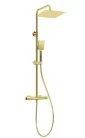 Zuhanyszett, Deante Therm termosztatikus zuhany csapteleppel,arany NAC_Z4HT