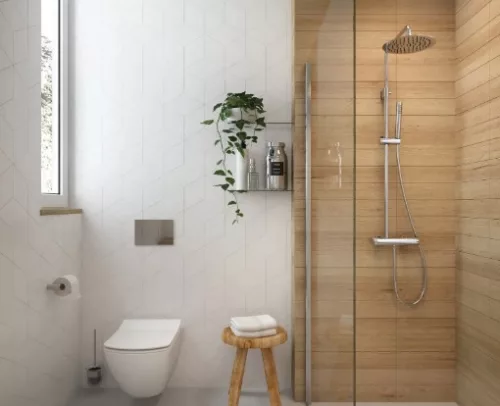 WC tető, Deante Anemon slim, soft-close wc ülőke, fehér CDZ_6ZOZ