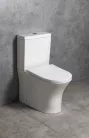 WC, Sapho Bruckner Leon rimless, monoblokkos wc, fehér 201.437.4