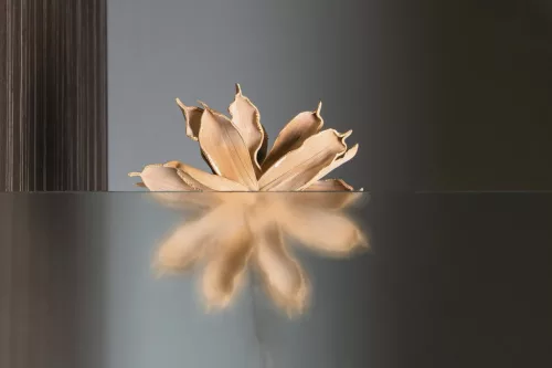 Zuhanyajtó, Aqualine PILOT nyílóajtó, 70 cm, brick üveg PT070W