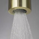 Trópusi zuhany, Deante Silia 1 funkciós fejzuhany, szálcsiszolt arany NQS_R30K